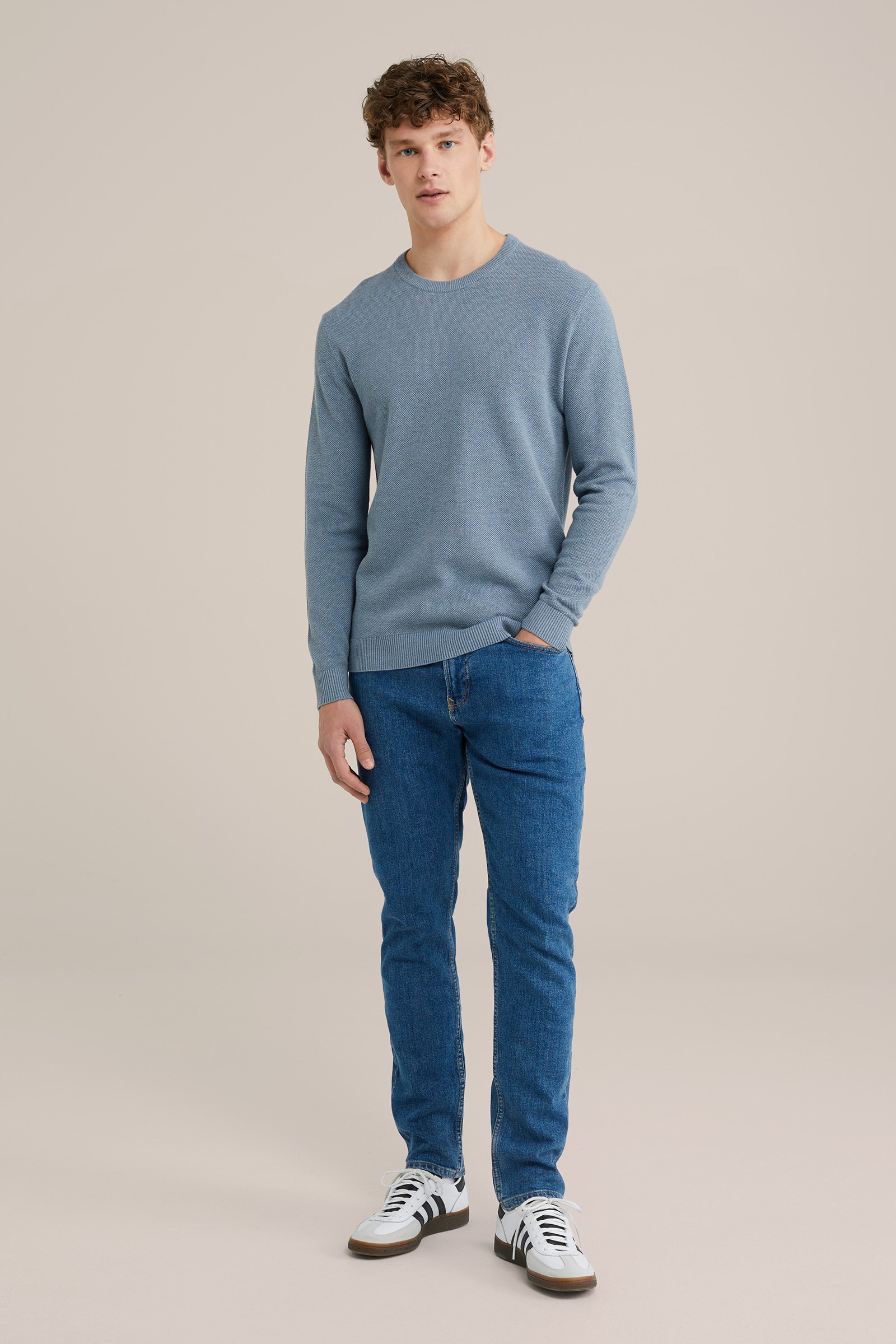 Heren Regular fit trui met structuur