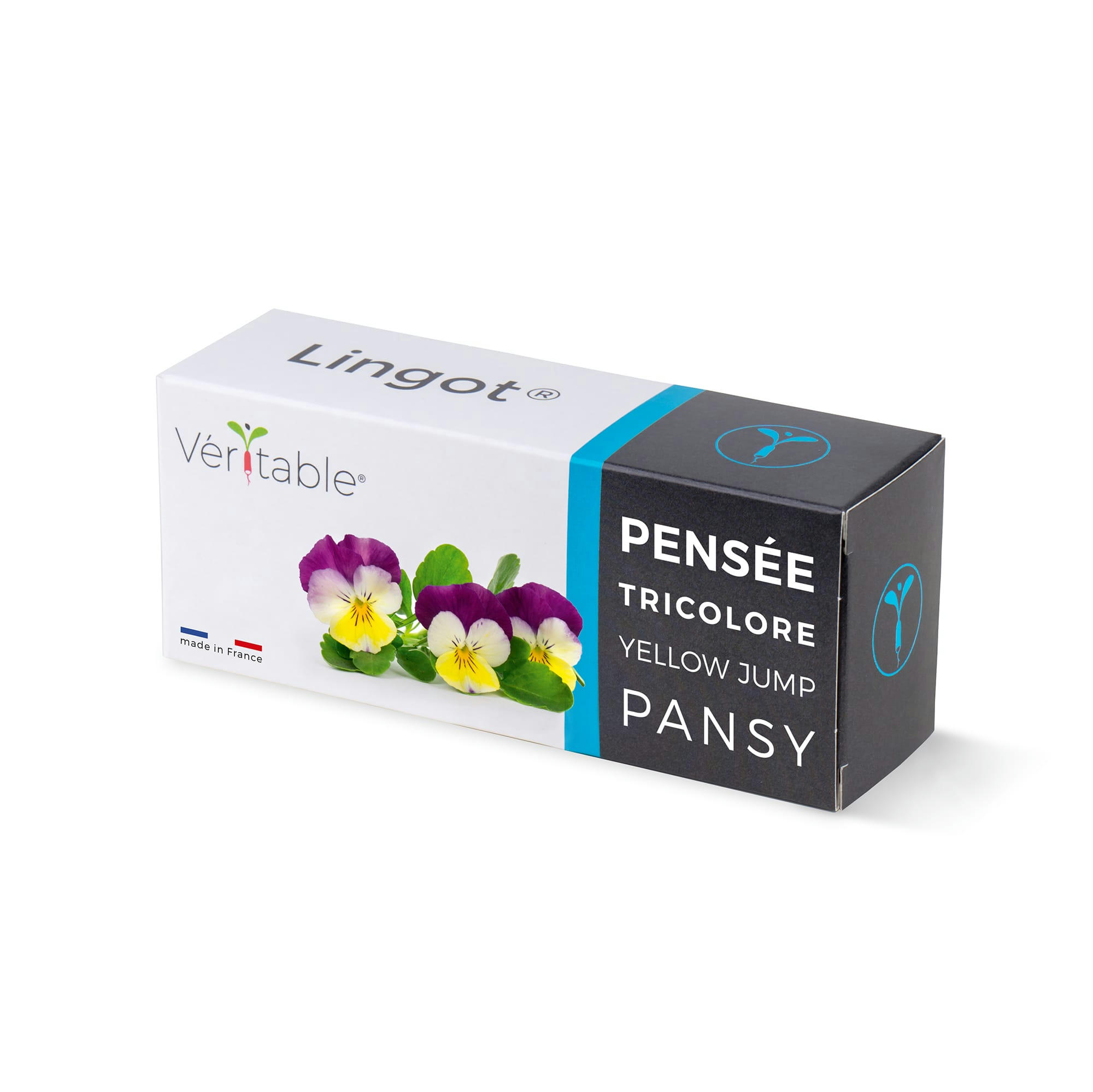 - Lingot® Pensées multicolores - Recharge prête à l'emploi