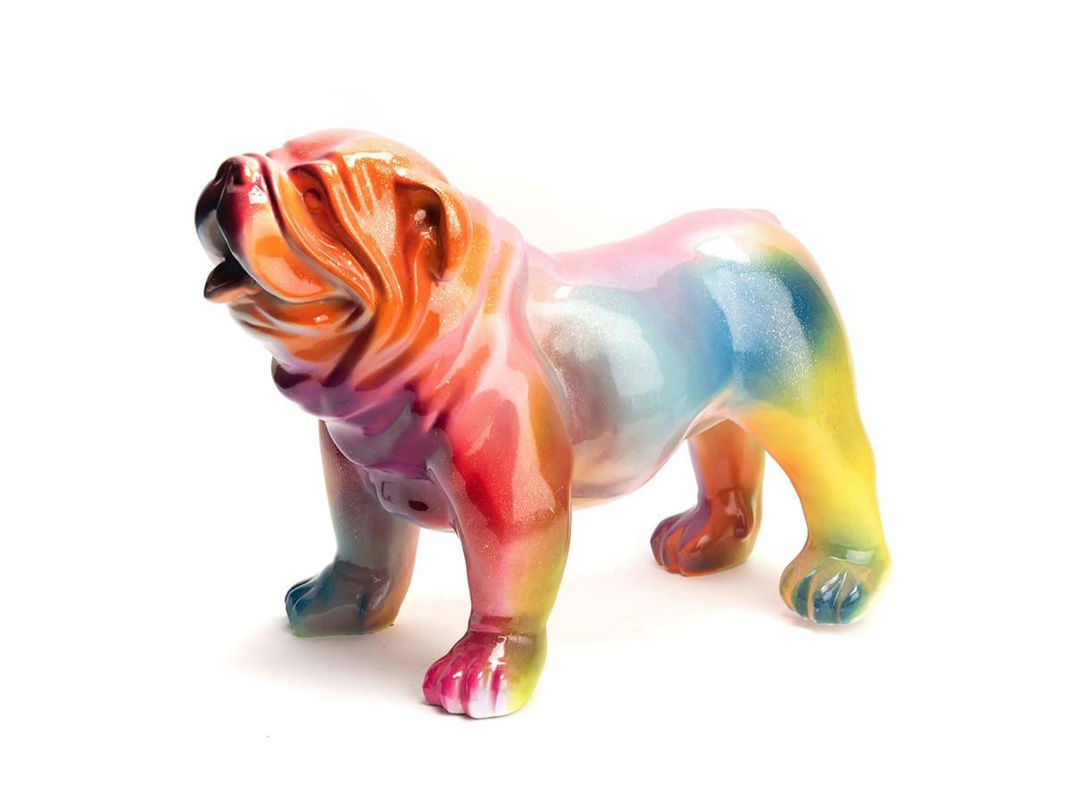 - Bulldog USA Rainbow - Amadeus