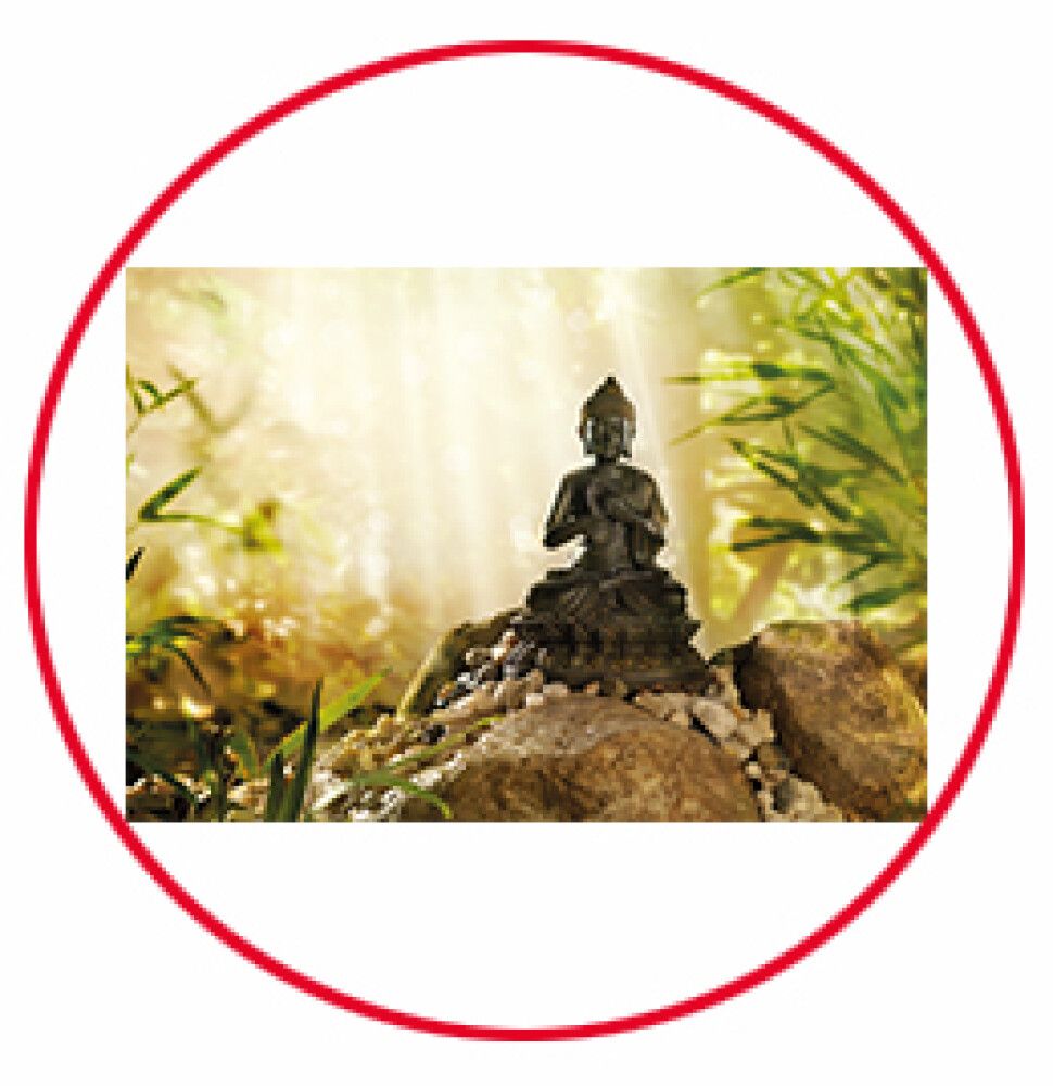 FOTOTAPET KOMAR BUDDHA 184X127CM