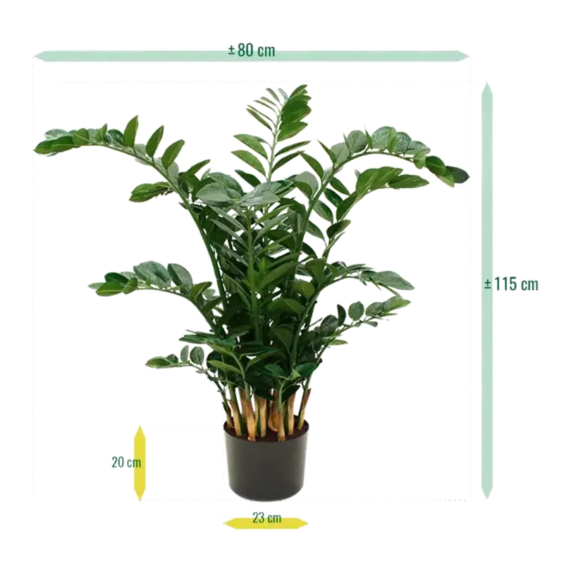 Kunstpflanze Zamioculcas