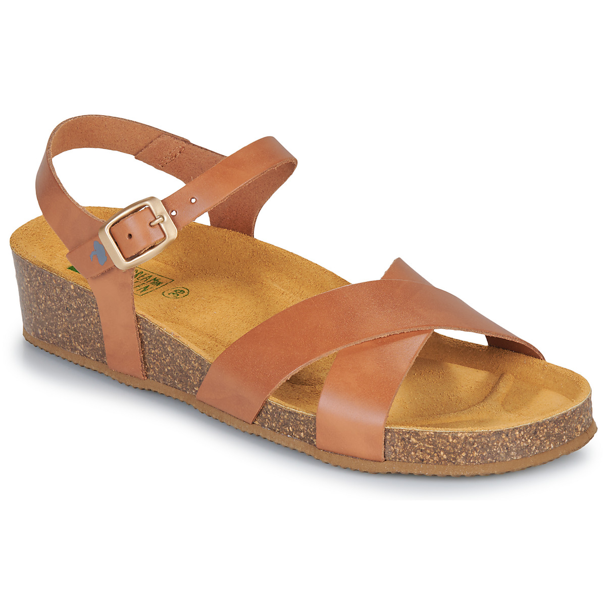 Dream in Green - TSILIA - Camel