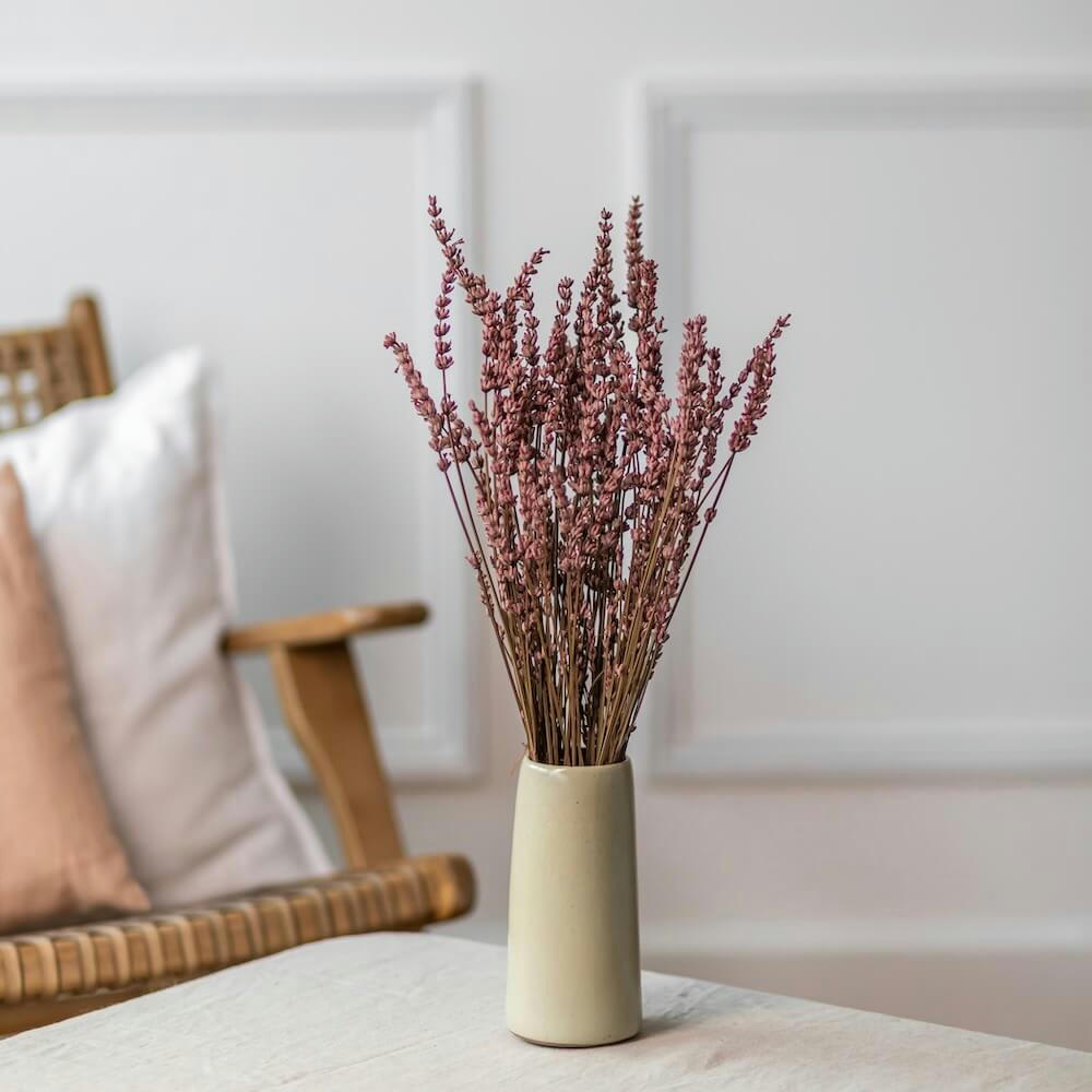 Lavande - Fleurs séchées lavandes roses