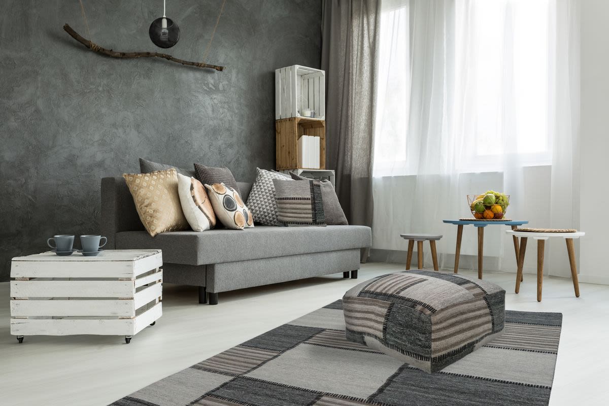 Hocker Zelus