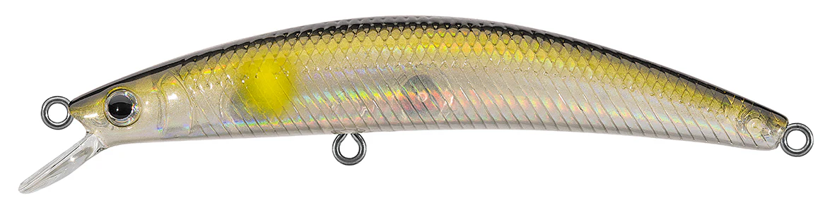 DR.MINNOW JERKBAITS