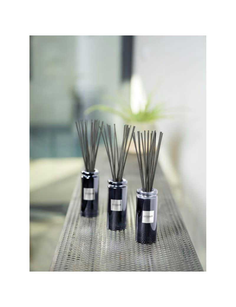 FIGUIER ET TONKA - Bouquet parfumé initial figuier et tonka