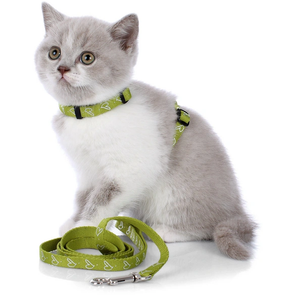 Welpen- und Katzengarnitur »by Laura«, für Katzen, Polyester/Kunststoff/Metall, hellgrün