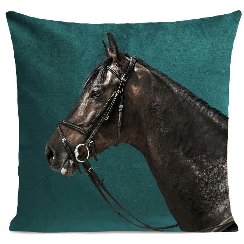 - Coussin animal cheval velours vert canard 40x40cm