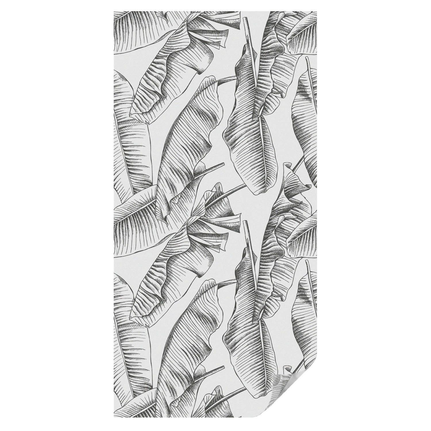 Folia samoprzylepna Tropikalne liście ochrona prywatności 50x100 Tulup