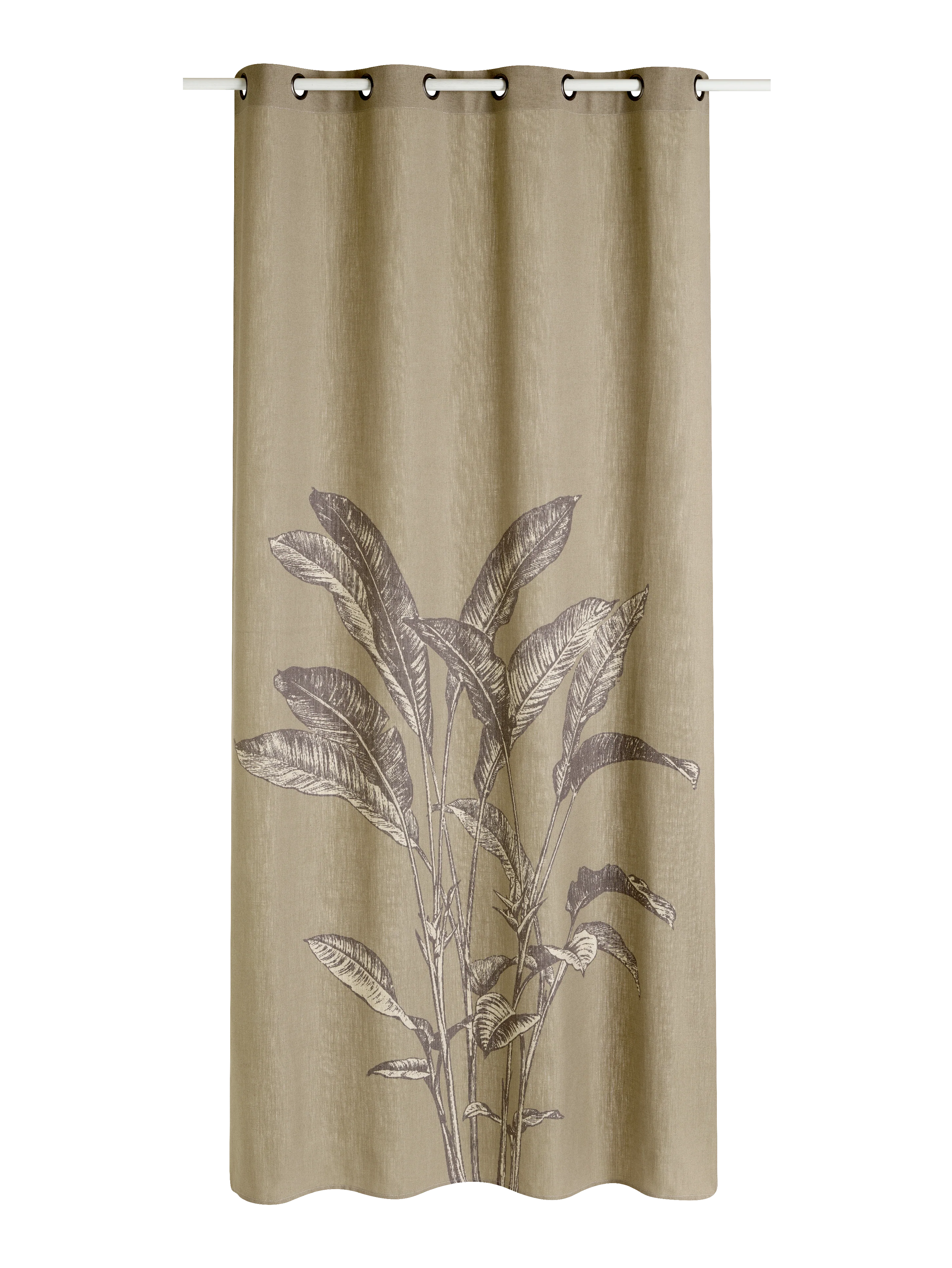 Rideau Lin CYCAS coloris sisal 140 x 260 cm
