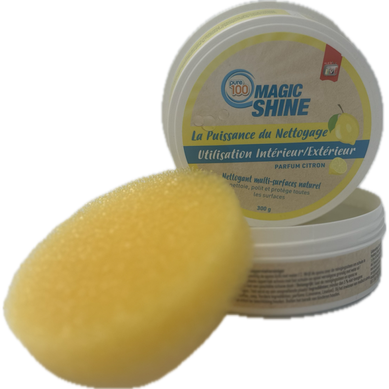 Pierre de nettoyage naturelle avec éponge 0,3 kg VENTEO