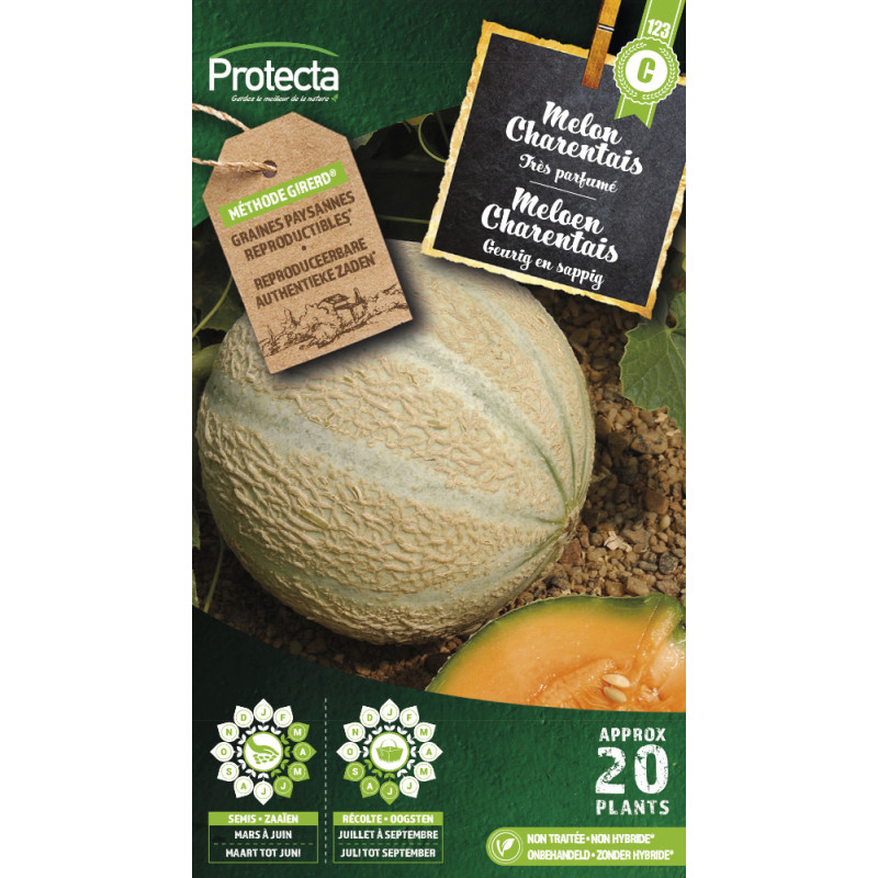 Semences de melon Charentais PROTECTA