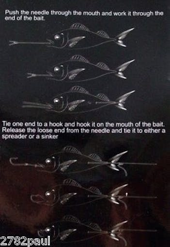 5 Pack of Surecatch 130mm Bait Needles