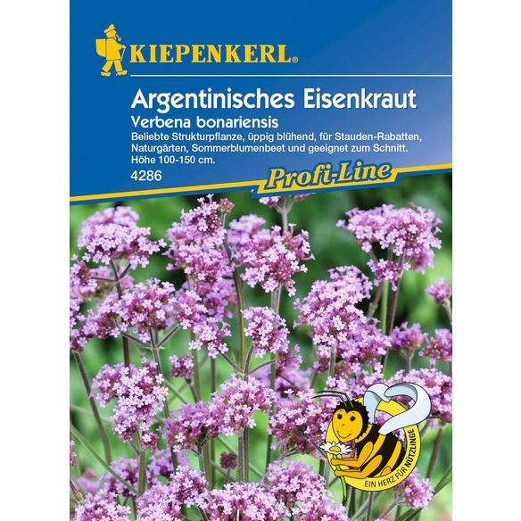 Eisenkraut, Verbena bonariensis, Samen, Blüte: helllila