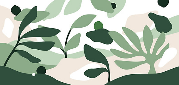 Papier peint panoramique Botanique, Vert 150 x 250cm