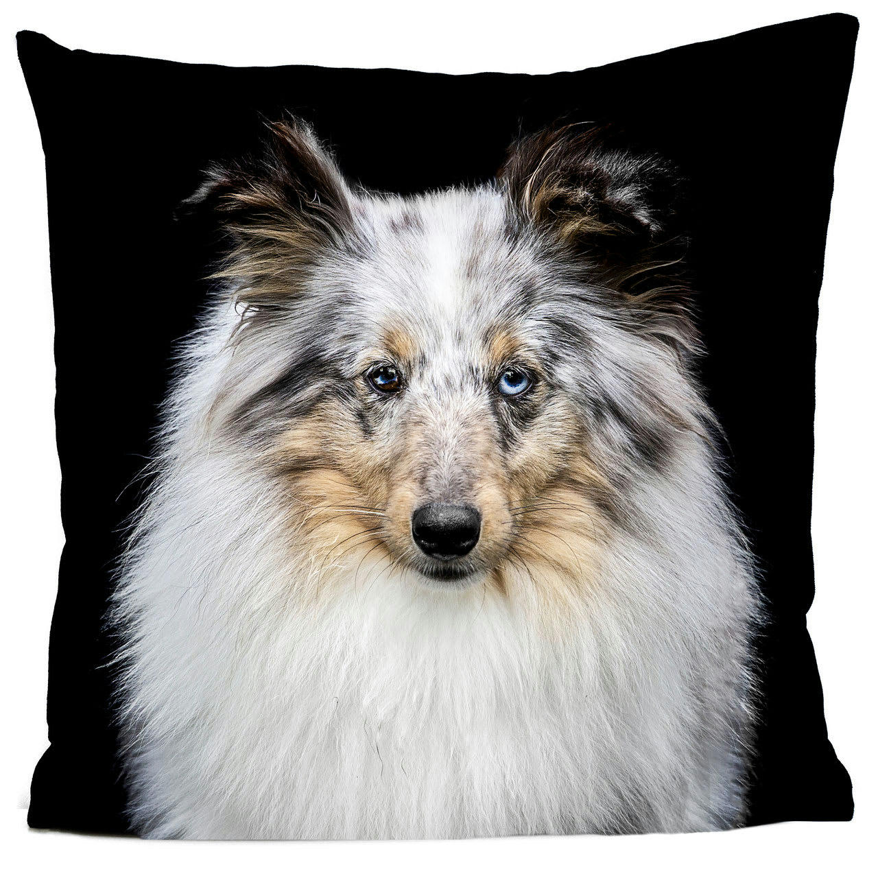 - Coussin chien berger australien suédine noir 40x40cm