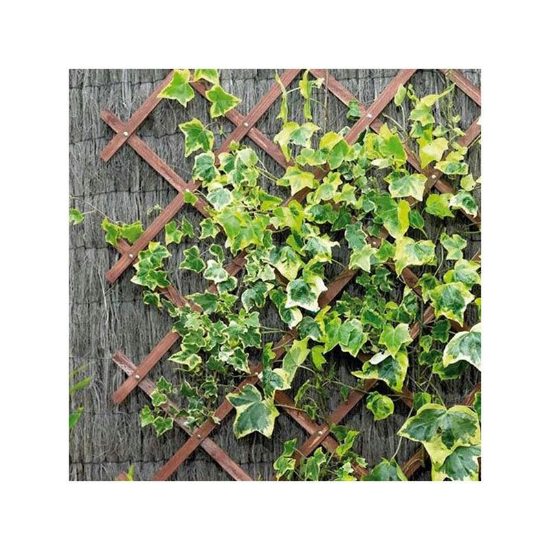 - Panneau treillis en bois 30 x 180 cm