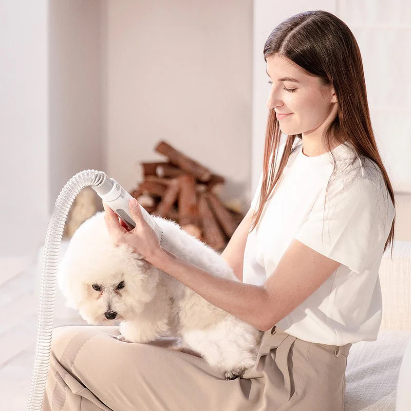 Kit d'aspirateur de toilettage 5 en 1 AirClipper pour chien et chat PETKIT