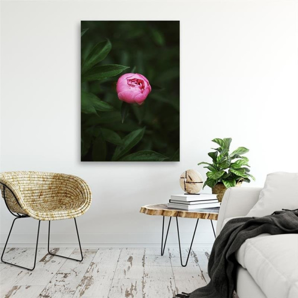 Feeby Obraz na płótnie Różowy kwiatowy pąk 40x60