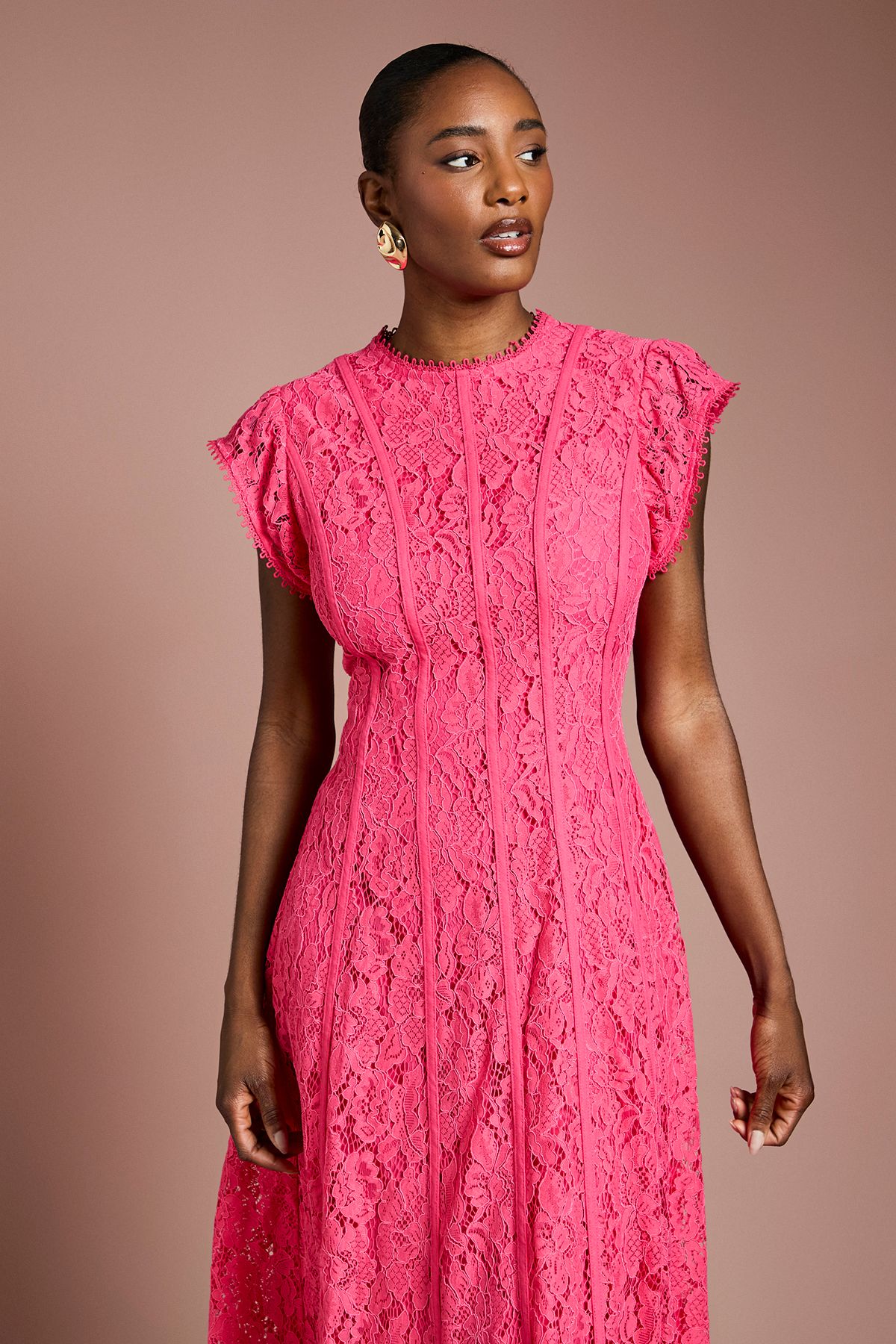 Coast Lace Panelled Midi Dress