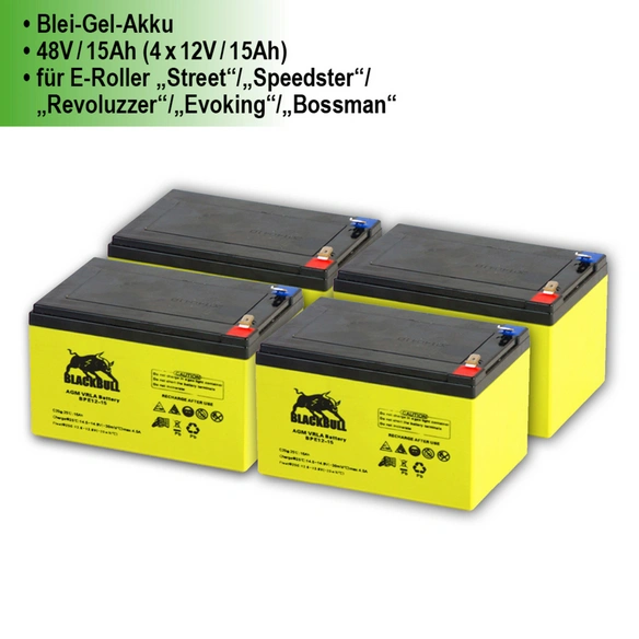 Ersatzakku, Blei-Gel-Akku, 48 V, 720 Wh