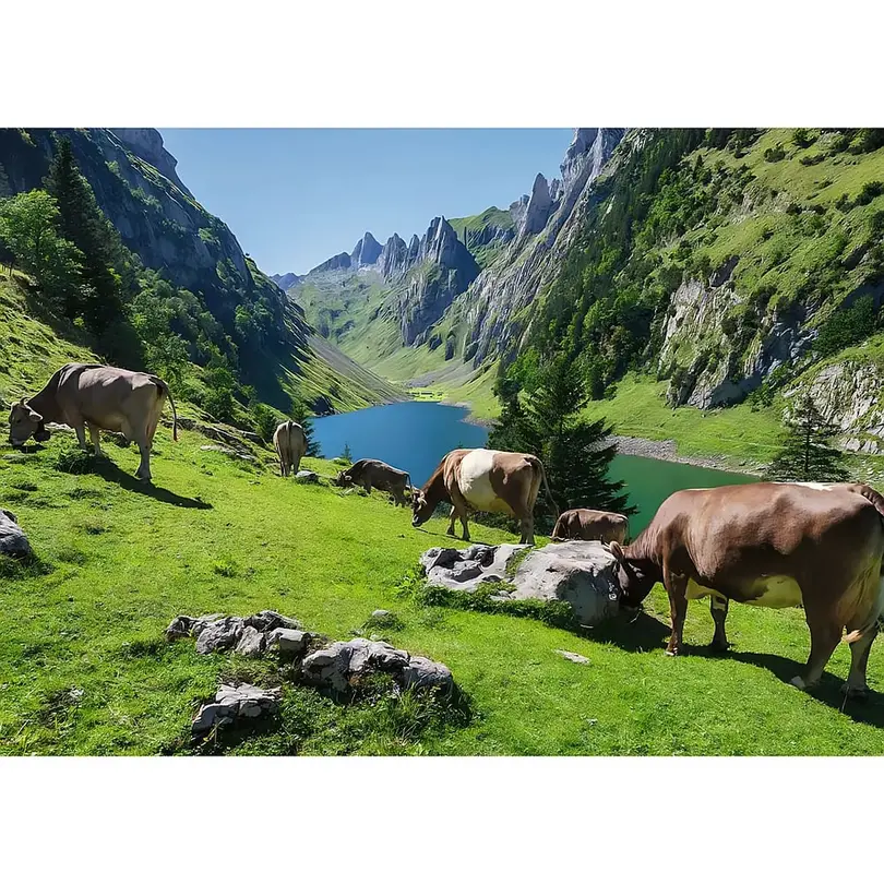 Puzzle Ravensburger