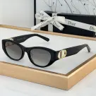 Dior The Hollow Logo of The Mirror Leg  sunglasses