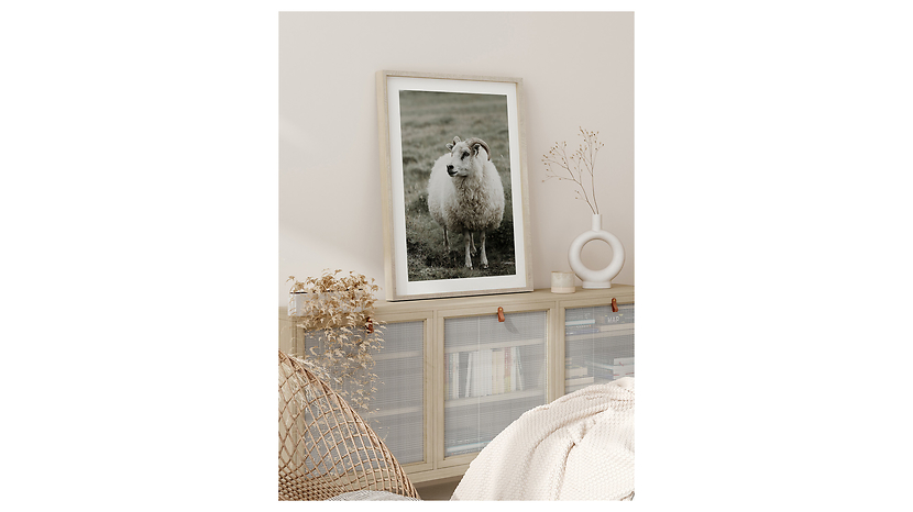 Obraz w ramie Ram In The Meadow 53x73 cm