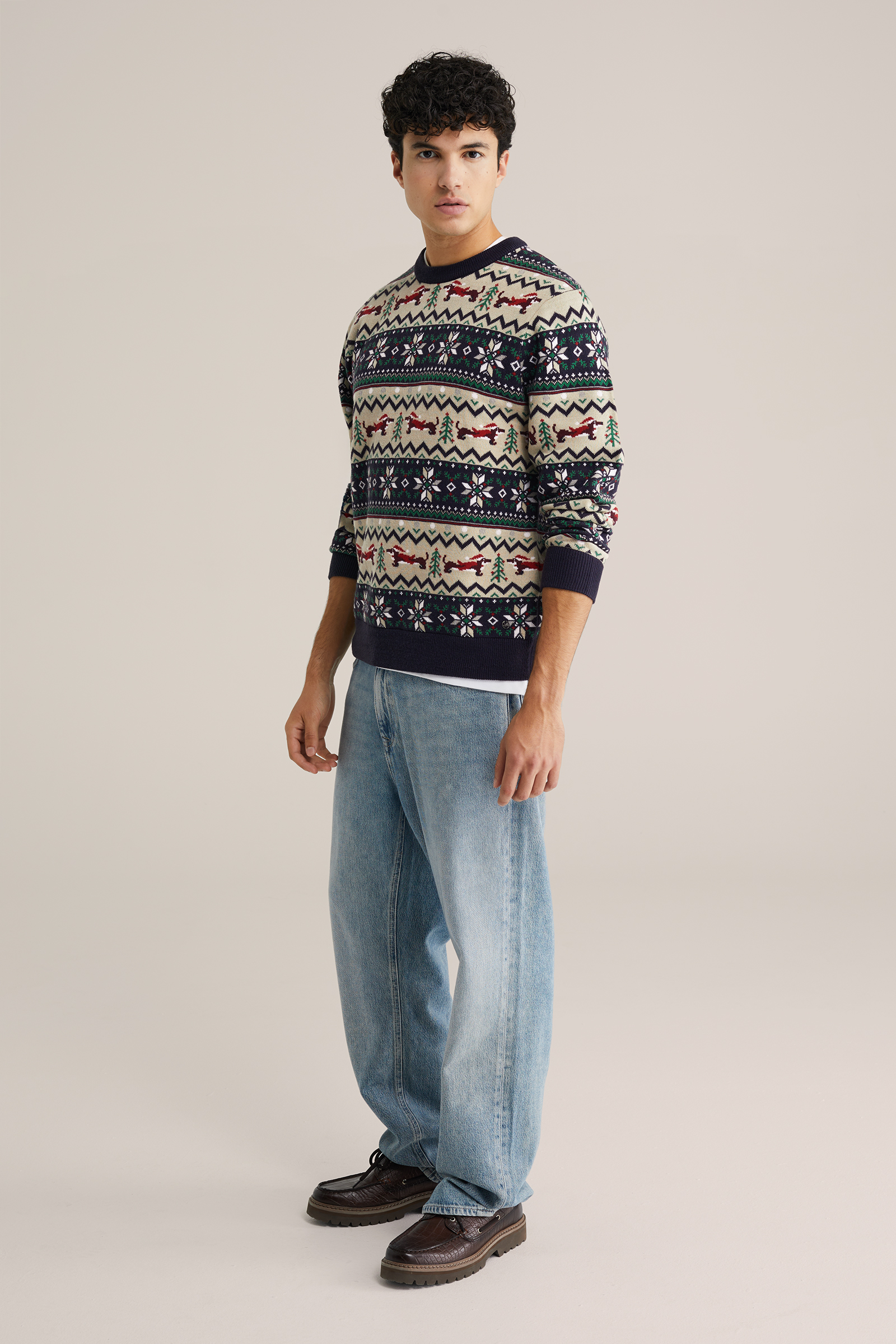 Heren regular fit trui met print