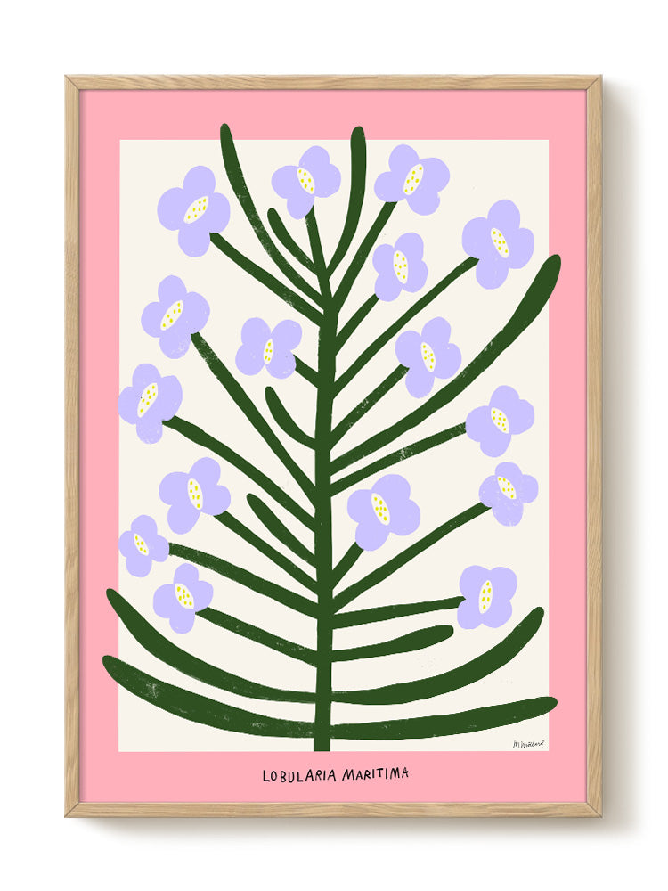Madelen - Lobularia Maritima - PSTR studio Kunst Poster