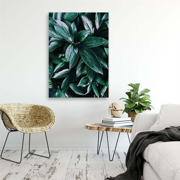 Feeby Obraz Liście tropikalnych roślin 40x60