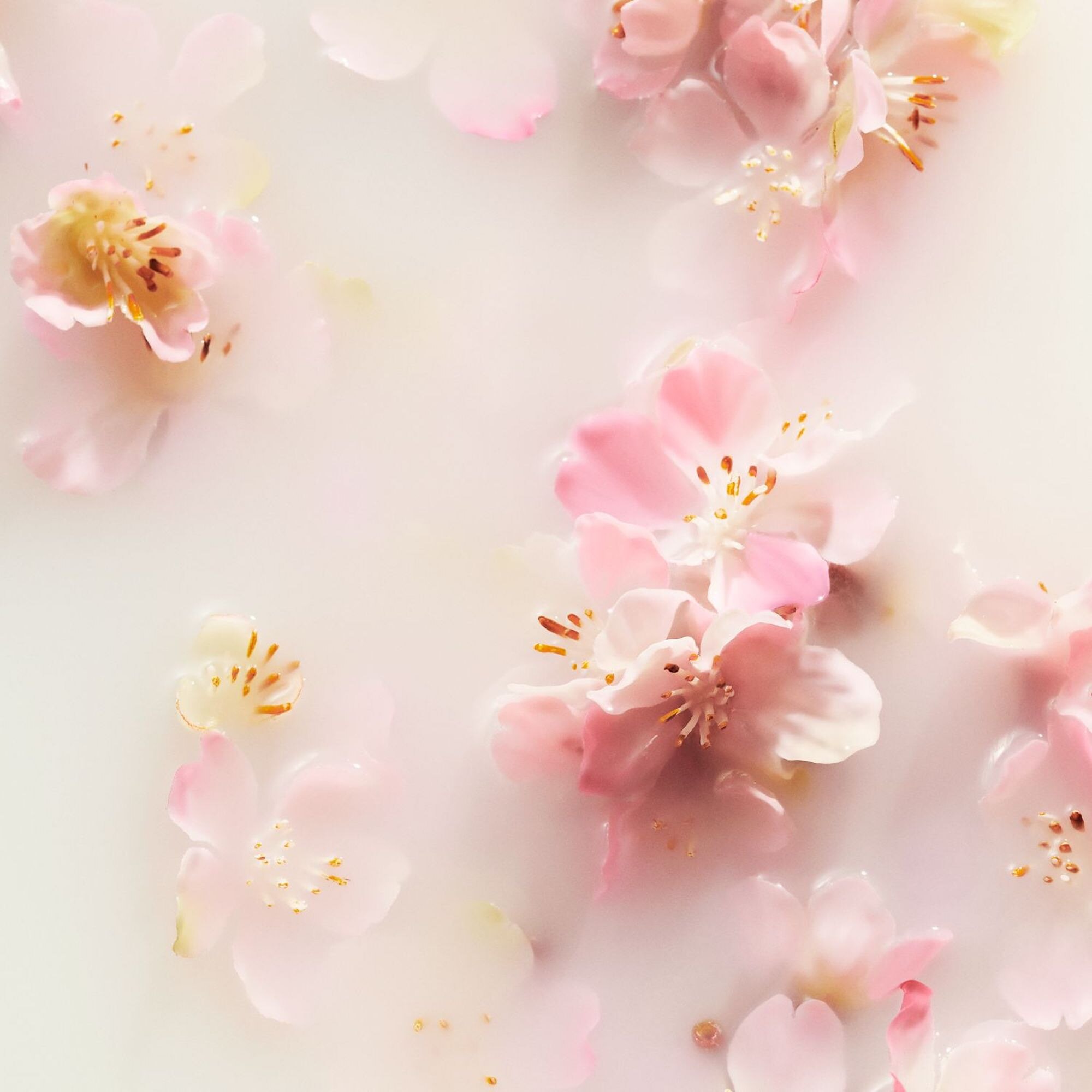 THE RITUAL OF SAKURABrume parfumée corps & cheveux