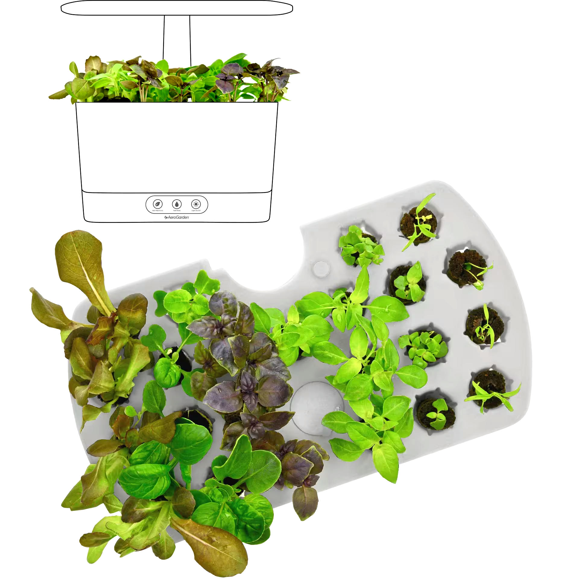 AeroGarden Seed Starting Kit For Harvest Models, Nutrients Included