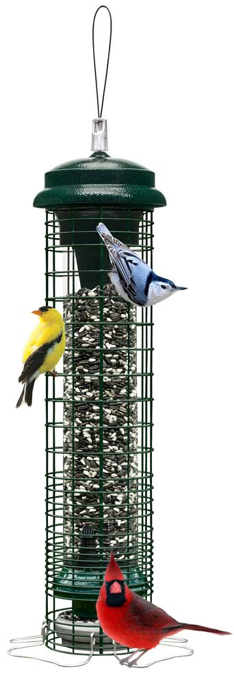 Brome Squirrel Solution 150 Outdoor Hanging Easy Bird Feeder, 0.5-lb