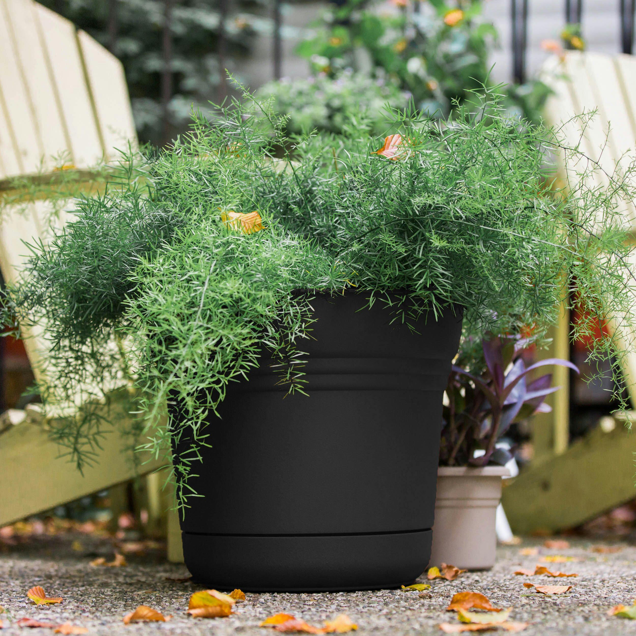 Bloem Saturn Plastic Planter with Saucer Tray, Assorted Sizes, Black