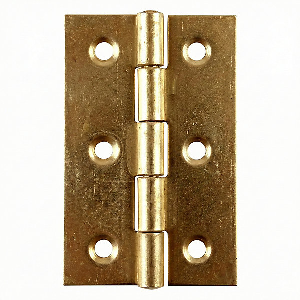 2 charnières laiton Diall 50 x 30 mm