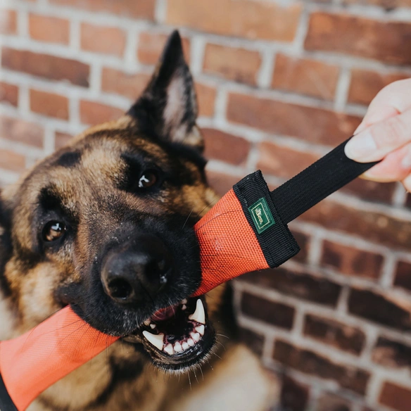Kleintierspielzeug »Trient«, für Hunde, Nylon/Kunststoff, rot