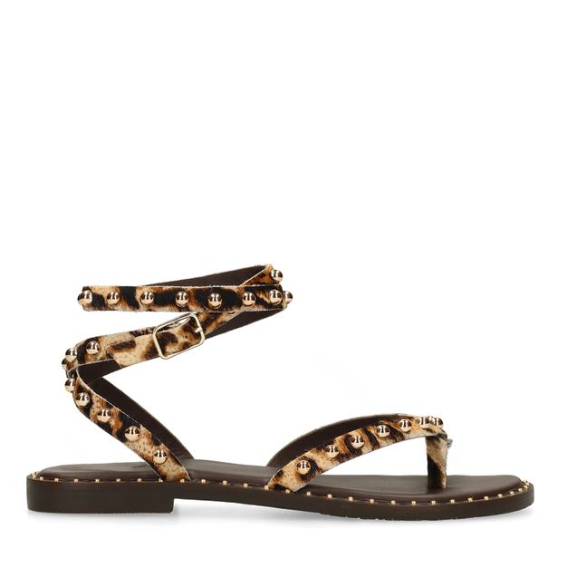 Leopard sandalen met goudkleurige studs