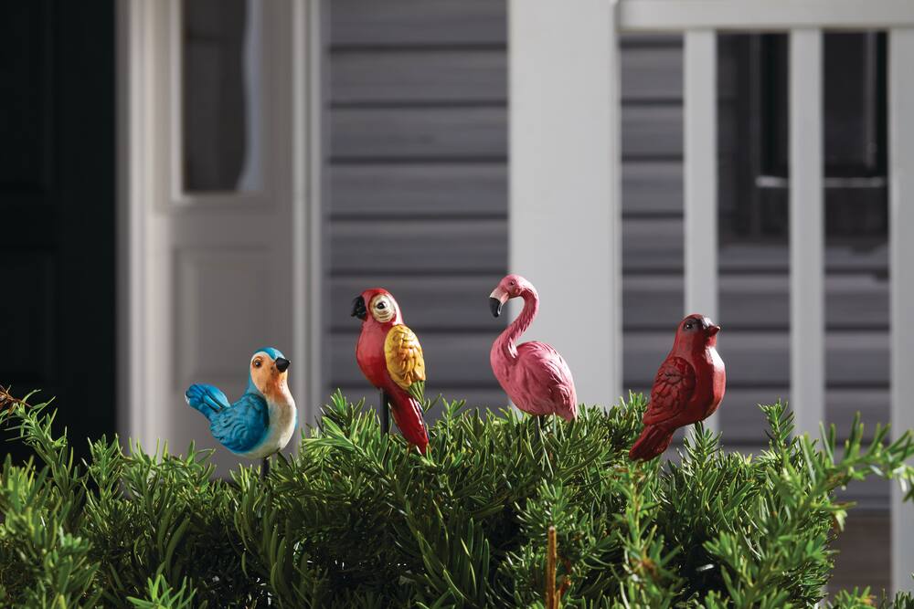 For Living Bird Pot & Garden Stakes, 8.00-in, Multi-Colour