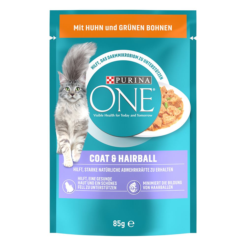 PURINA ONE Coat & Hairball