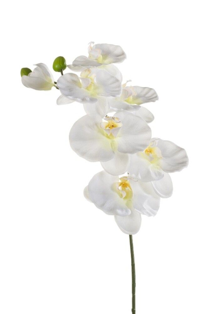 KUNSTIG PLANTE ORKIDÉ PHALAENOPSIS SNITT HVIT 80CM