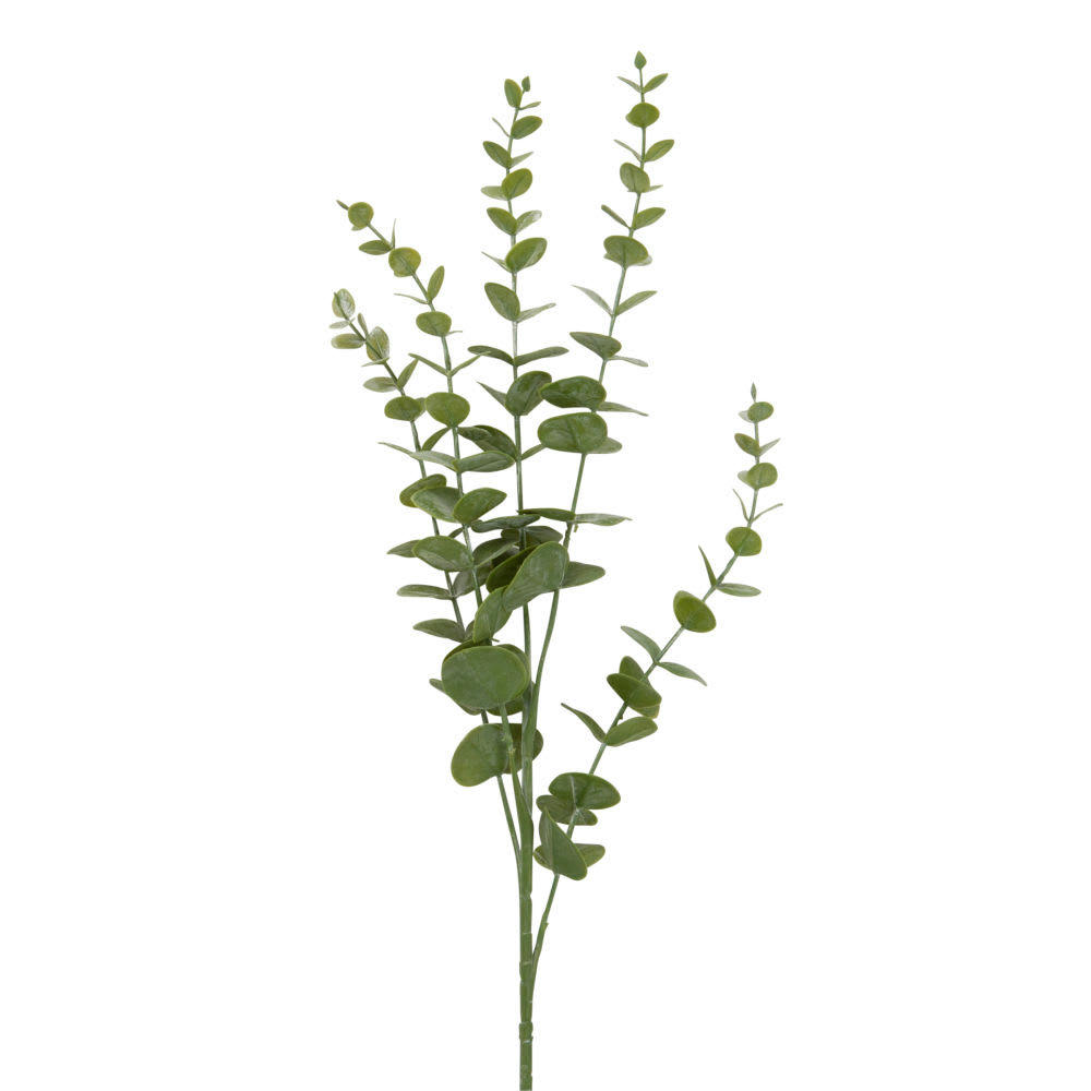 - Branche artificielle Eucalyptus