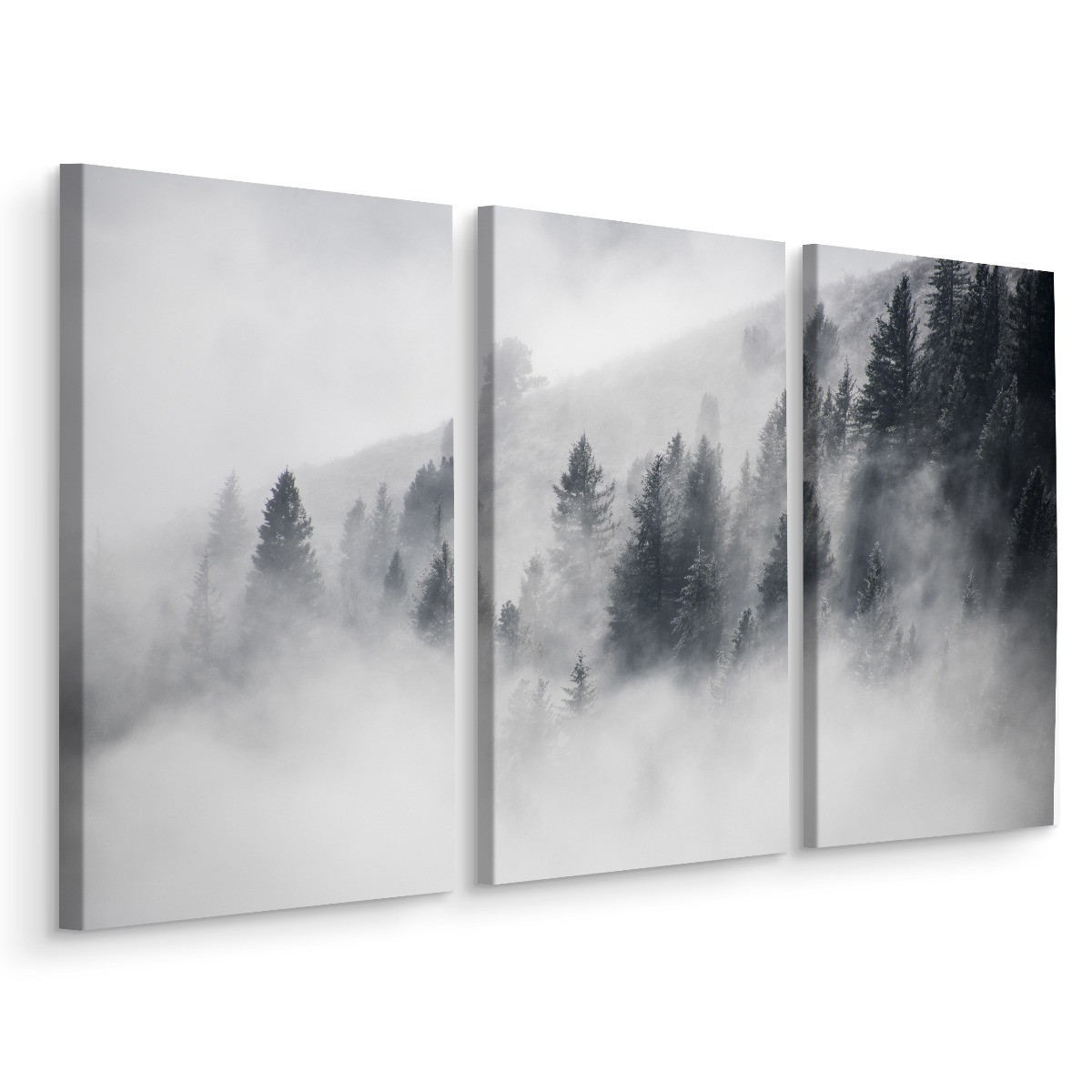 Obraz Tryptyk LAS WE MGLE Pejzaż Natura 3D 60x40cm