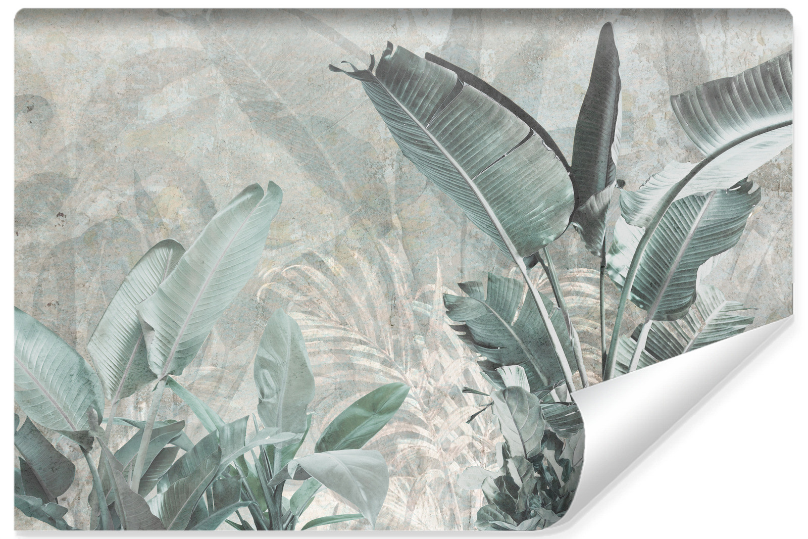 Fototapeta Liście Bananowca Na Betonie 90x60cm