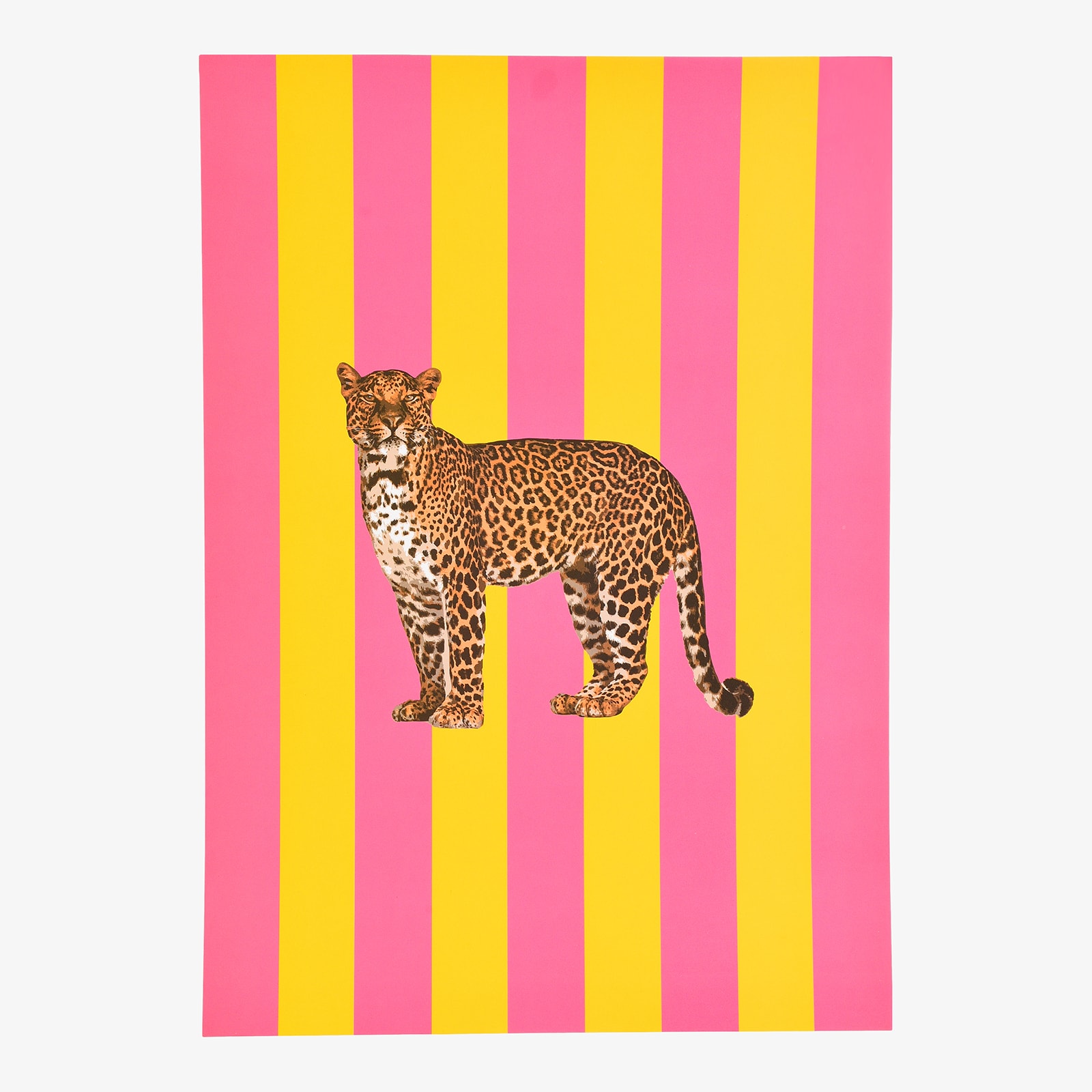 Poster Sam Pink,B 210 x H 300 mm