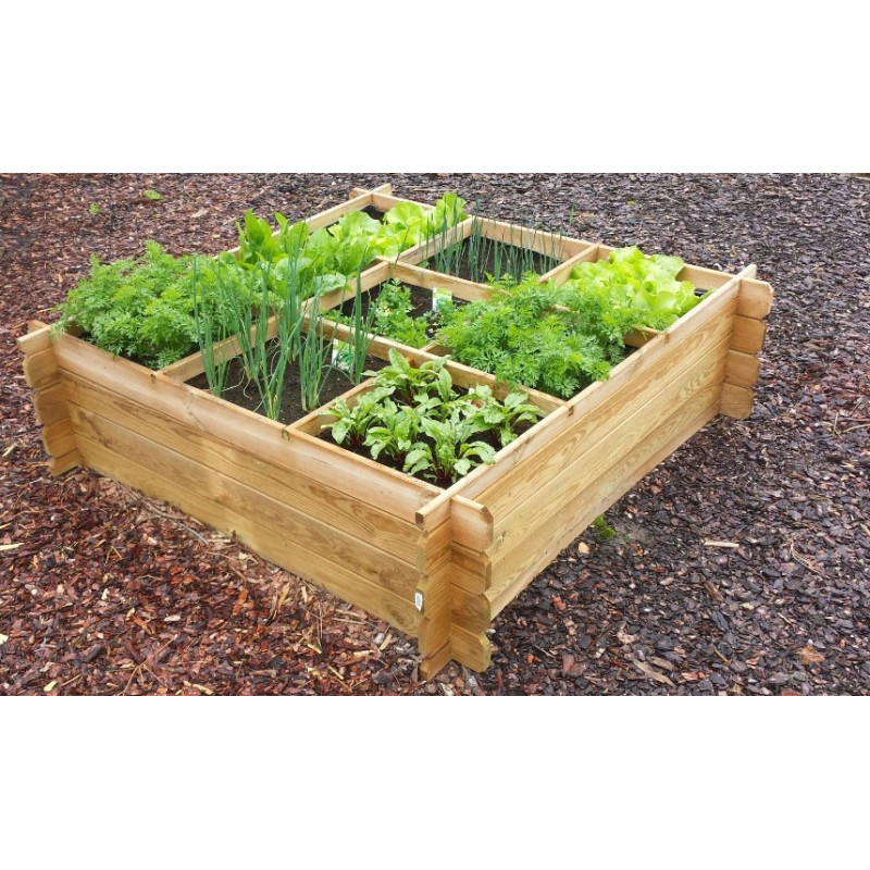 Carré potager avec croisillons 140 x 140 x 40 cm SOLID