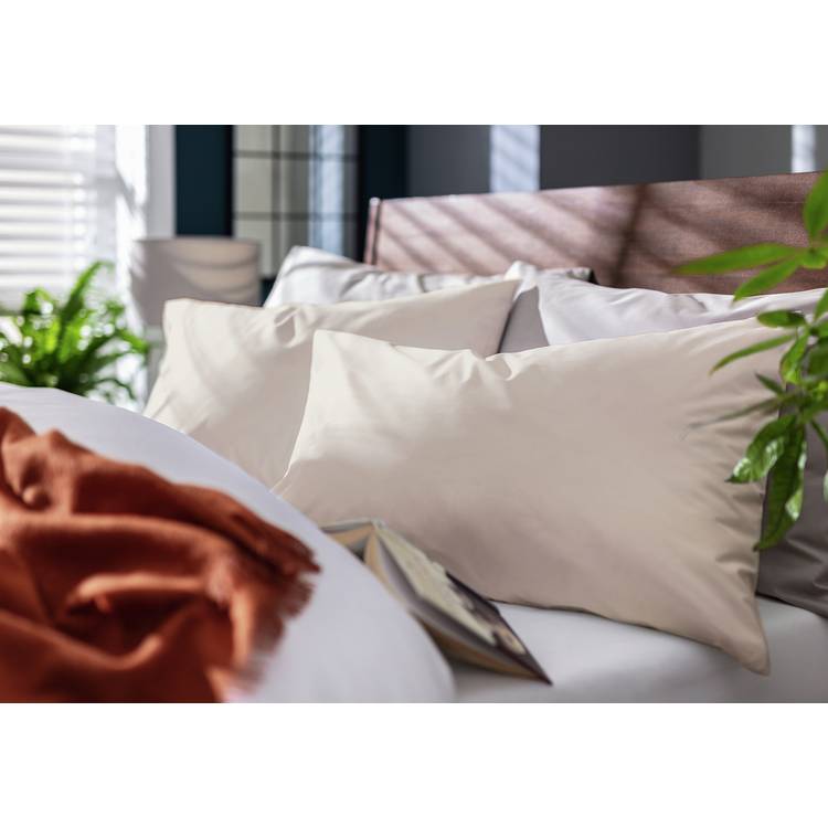 Habitat Cotton Rich 180TC Standard Pillowcase Pair - Neutral