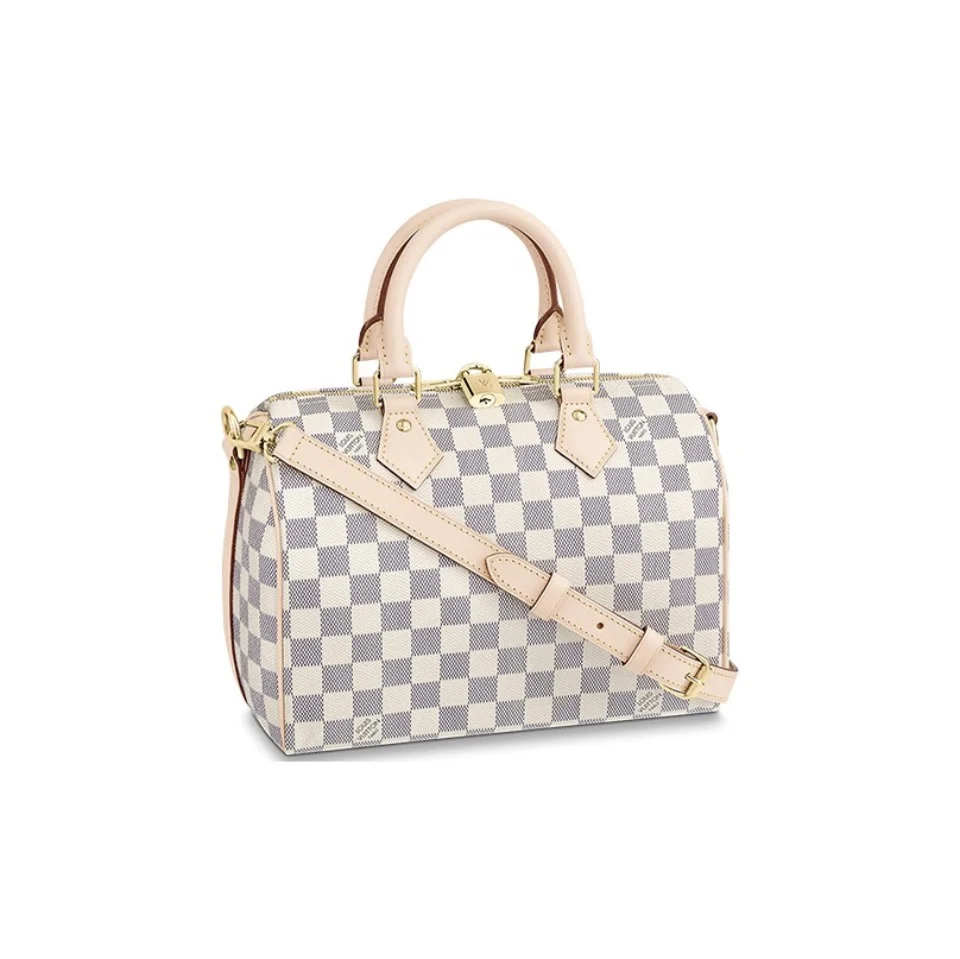 Louis Vuitton LV Speedy 25