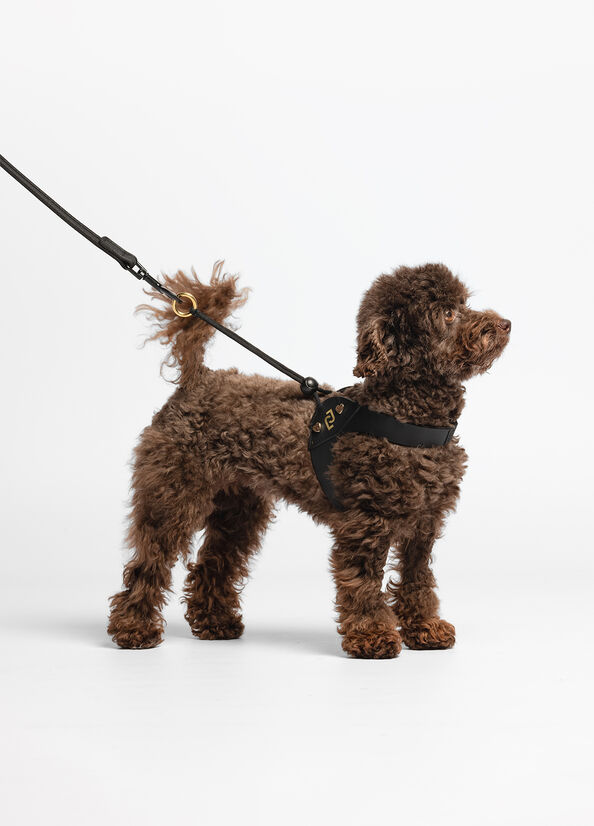 Pettorina Liu Jo Pets