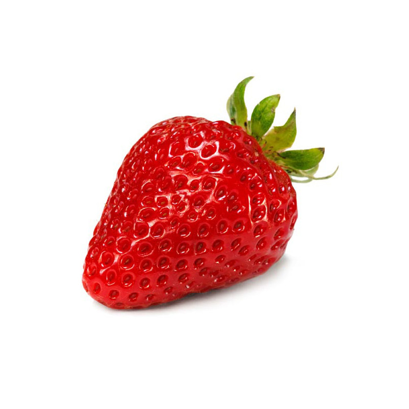 Fraisier Cirano en pot